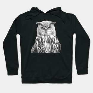 Black and White Owl Hoodie